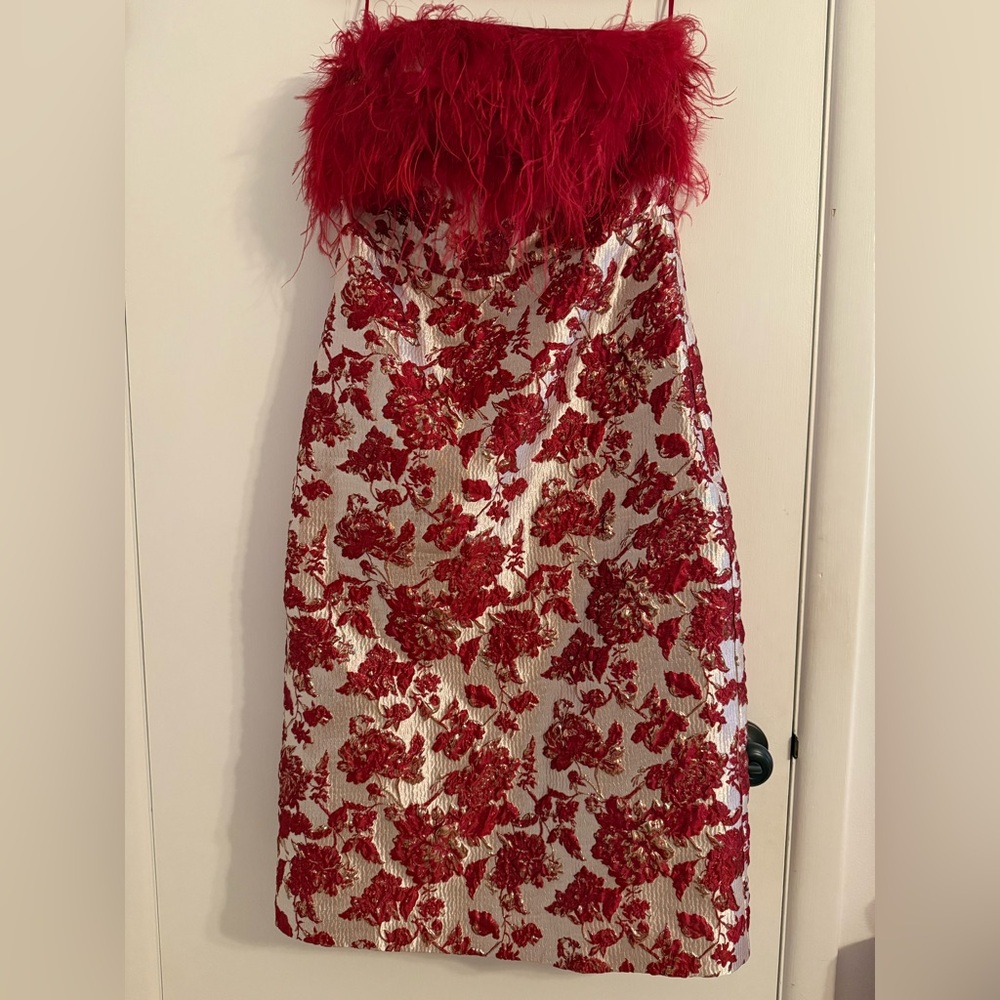 Tuckernuck Strapless Dress with Red Floral Design - Picture 6 of 14
